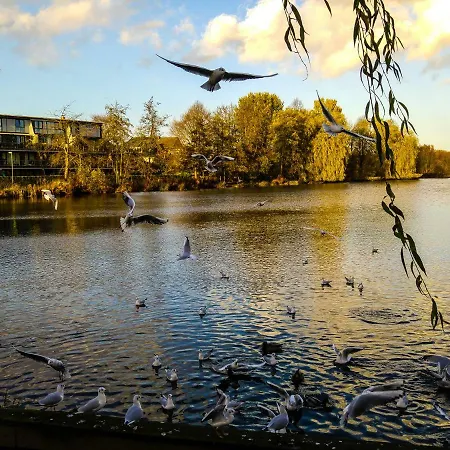 Appartamento Elbquartier | In Wedel