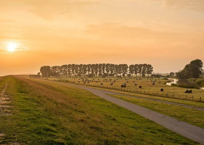 Elbquartier | In 公寓